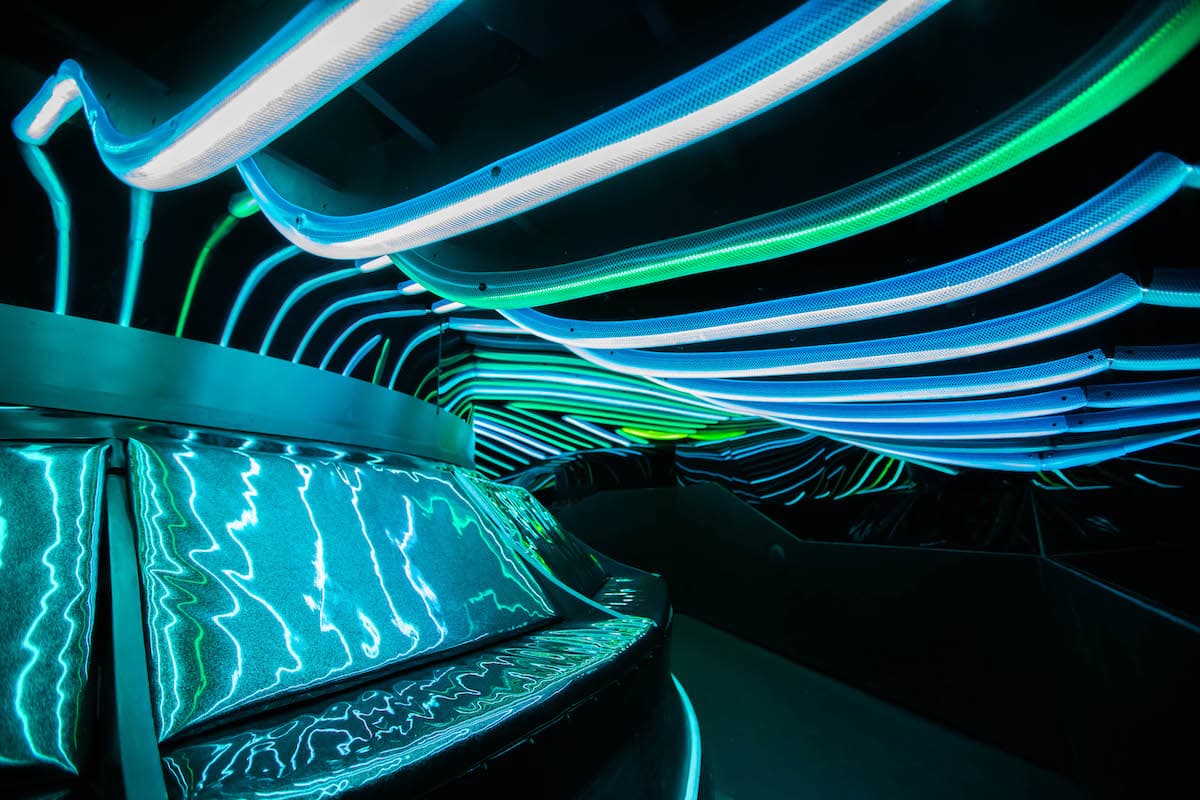 Speaketh the Oracle of Shrimphi | Meow Wolf